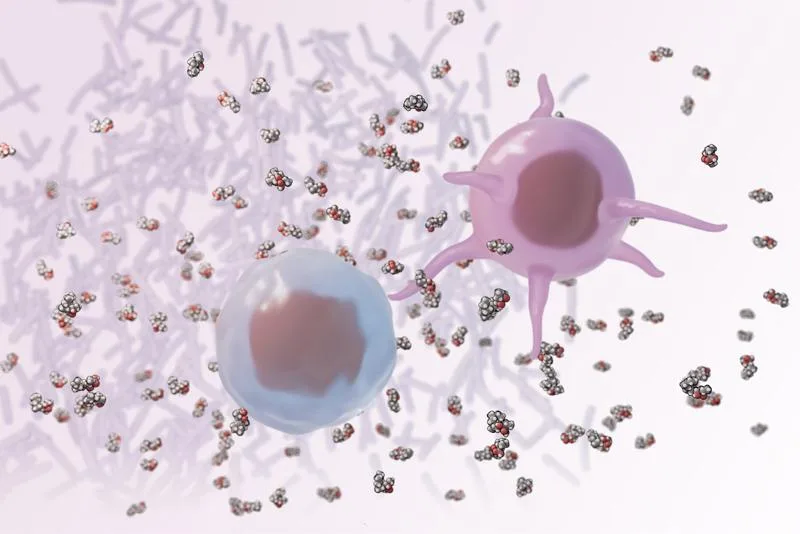 Little-known arm of immune system could be key to better vaccines, cancer therapies