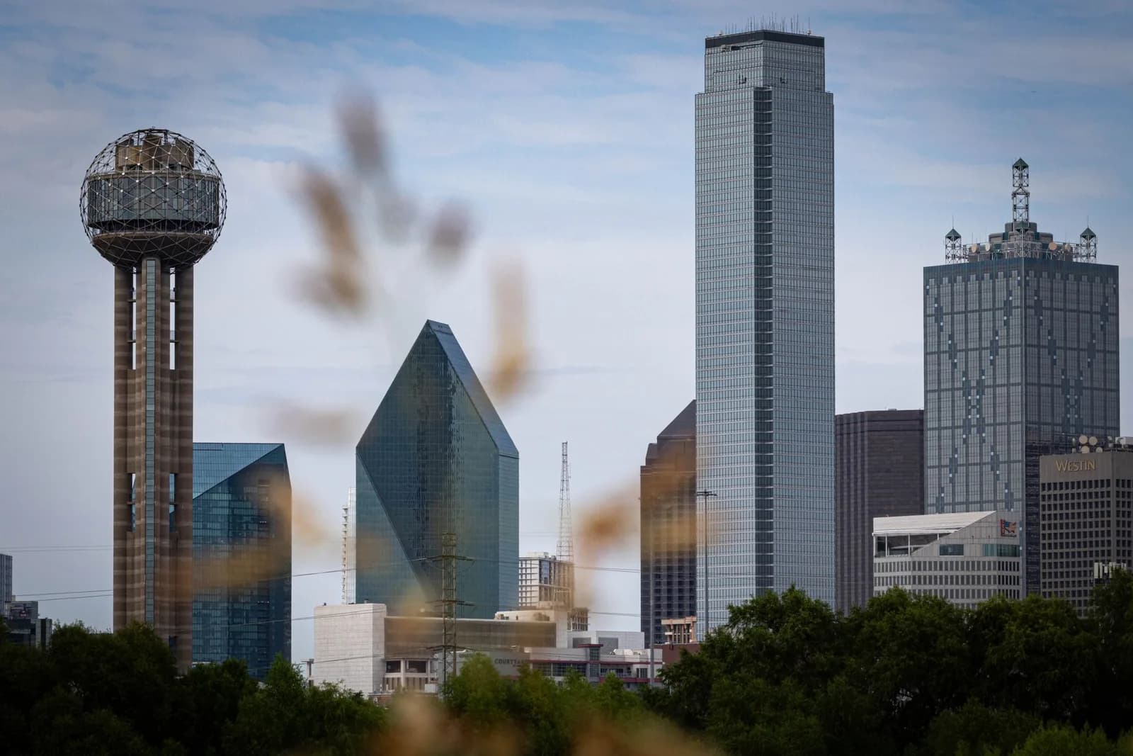 Photo: Dallas News