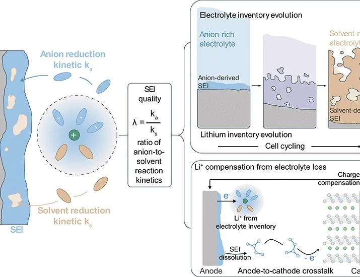Unlocking cycle life of lithium metal batteries | Science