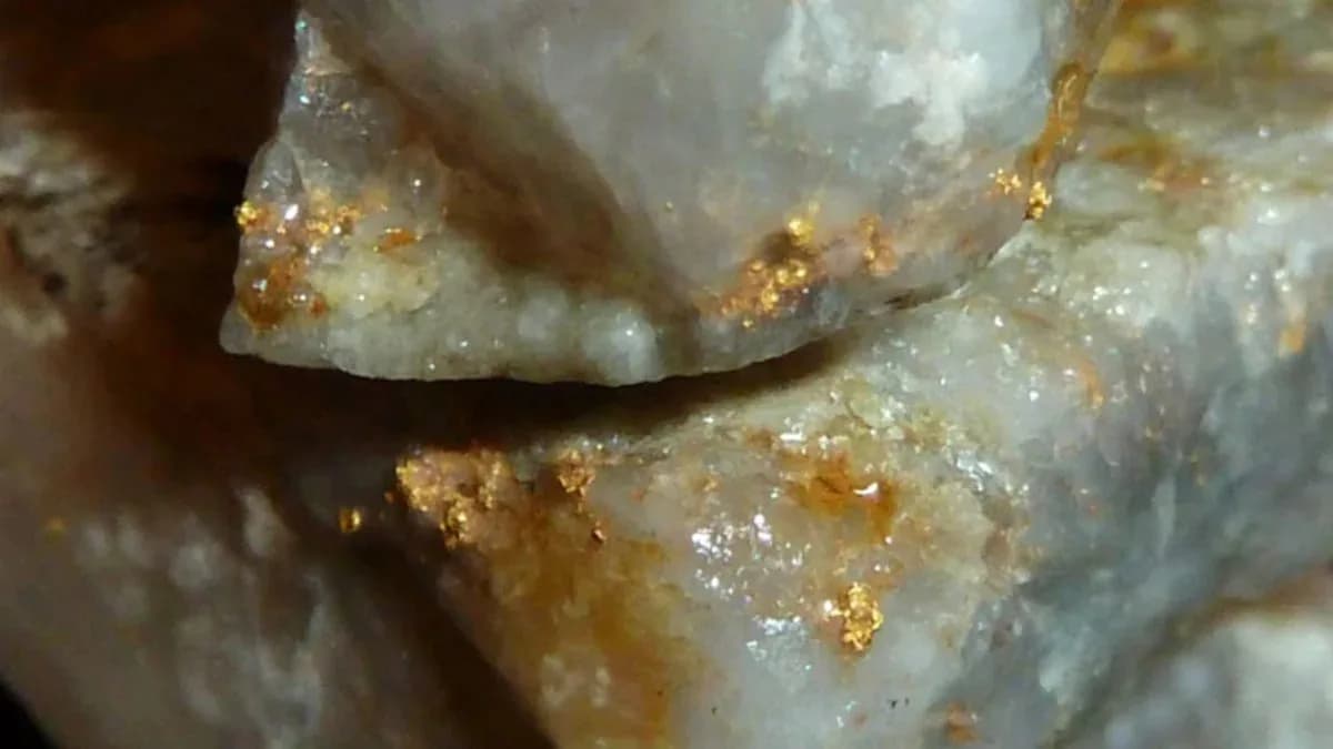 OceanaGold Нью Зеландад Waihi боловсруулах үйлдвэрийн хүчин чадлыг нэм — Эх сурвалж: finance.yahoo.com (https://finance.yahoo.com/markets/commodities/articles/oceanagold-drilling-supports-growth-analysts-172500750.html)