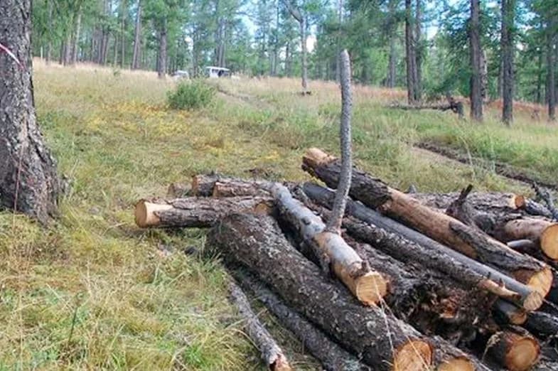 Экологийн цагдаагийн алба зөрчлийн шинжтэй гомдлуудыг шалгаж, шүүхэд ш — Эх сурвалж: news.mn (https://news.mn/r/2890060/)