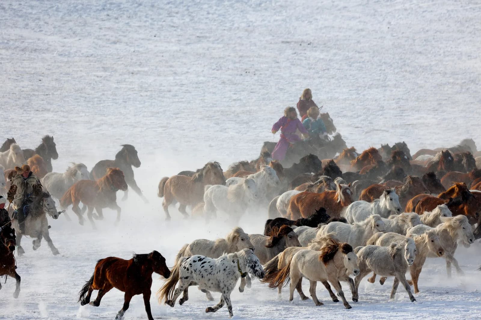 Photo: Pexels / shuping zhao