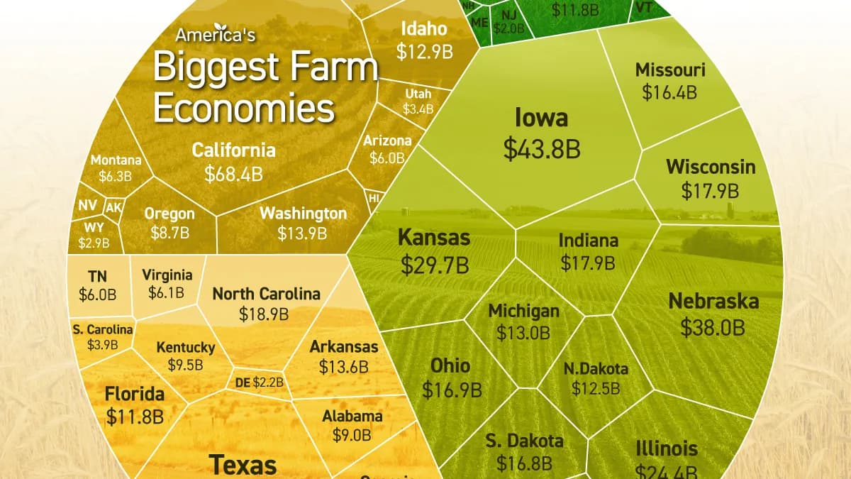 Ranked: America’s Biggest Farm Economies in 2025