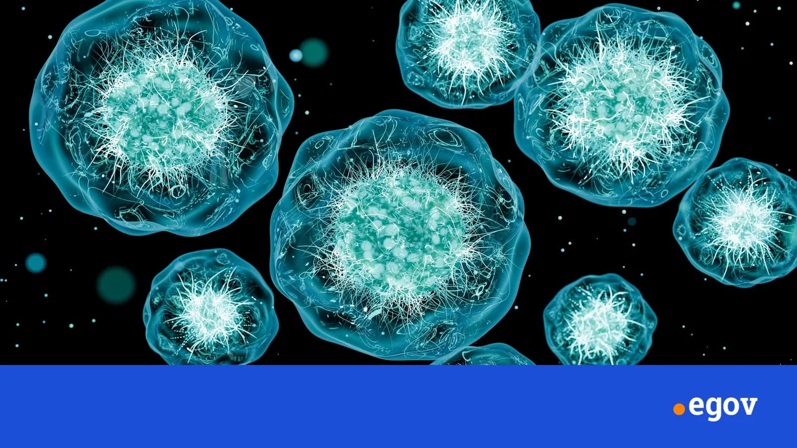 US, Google, Meta join forces to build ‘virtual cells’ for digital biology experiments