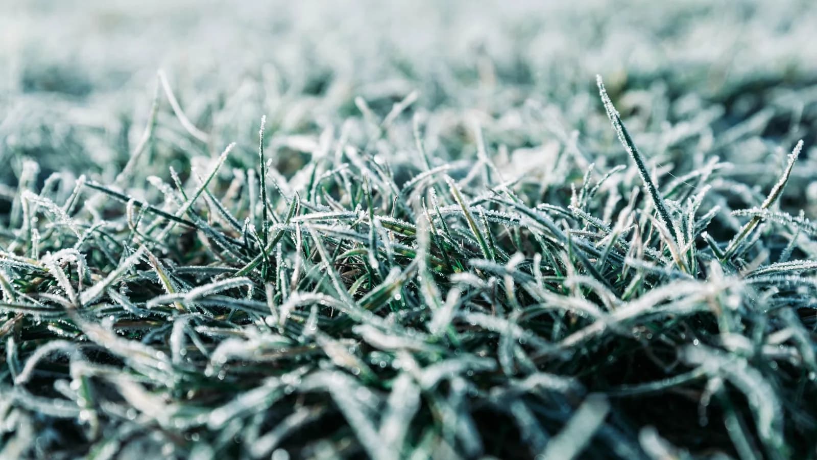 Photo: Pexels / Stanislav Kondratiev