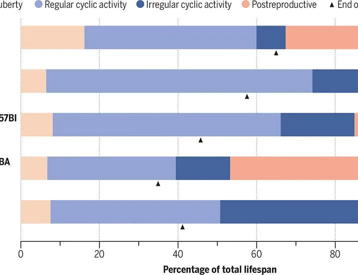 Does the postmenopausal ovary still matter? | Science