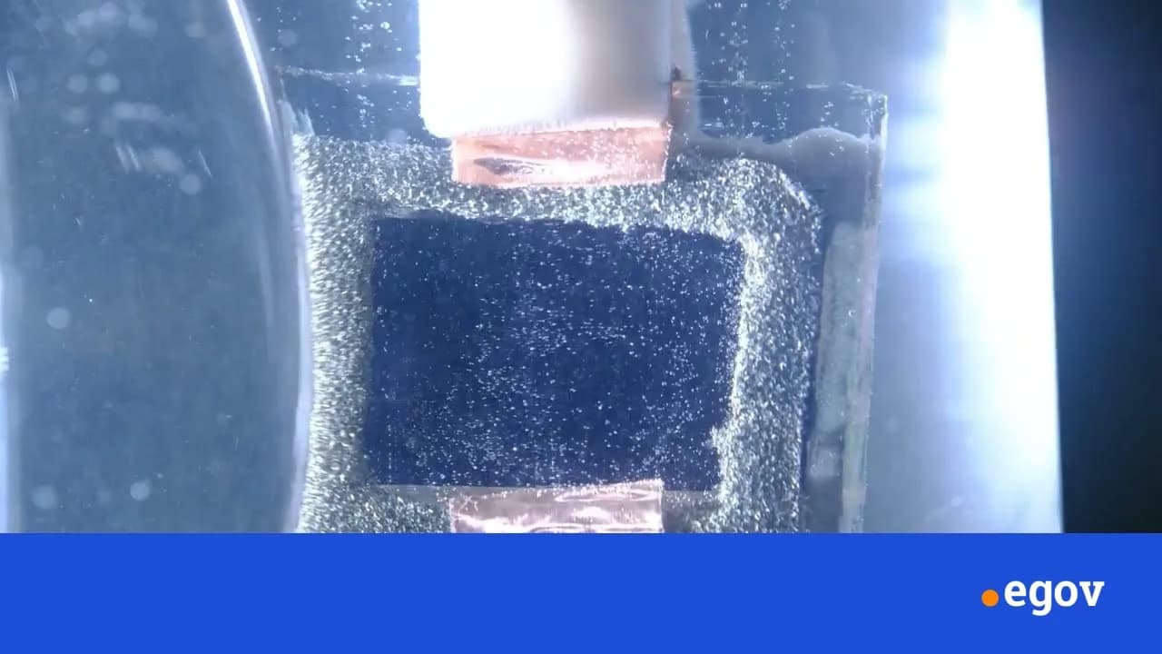 New leaf-inspired device makes hydrogen from seawater, cleans toxic waste too