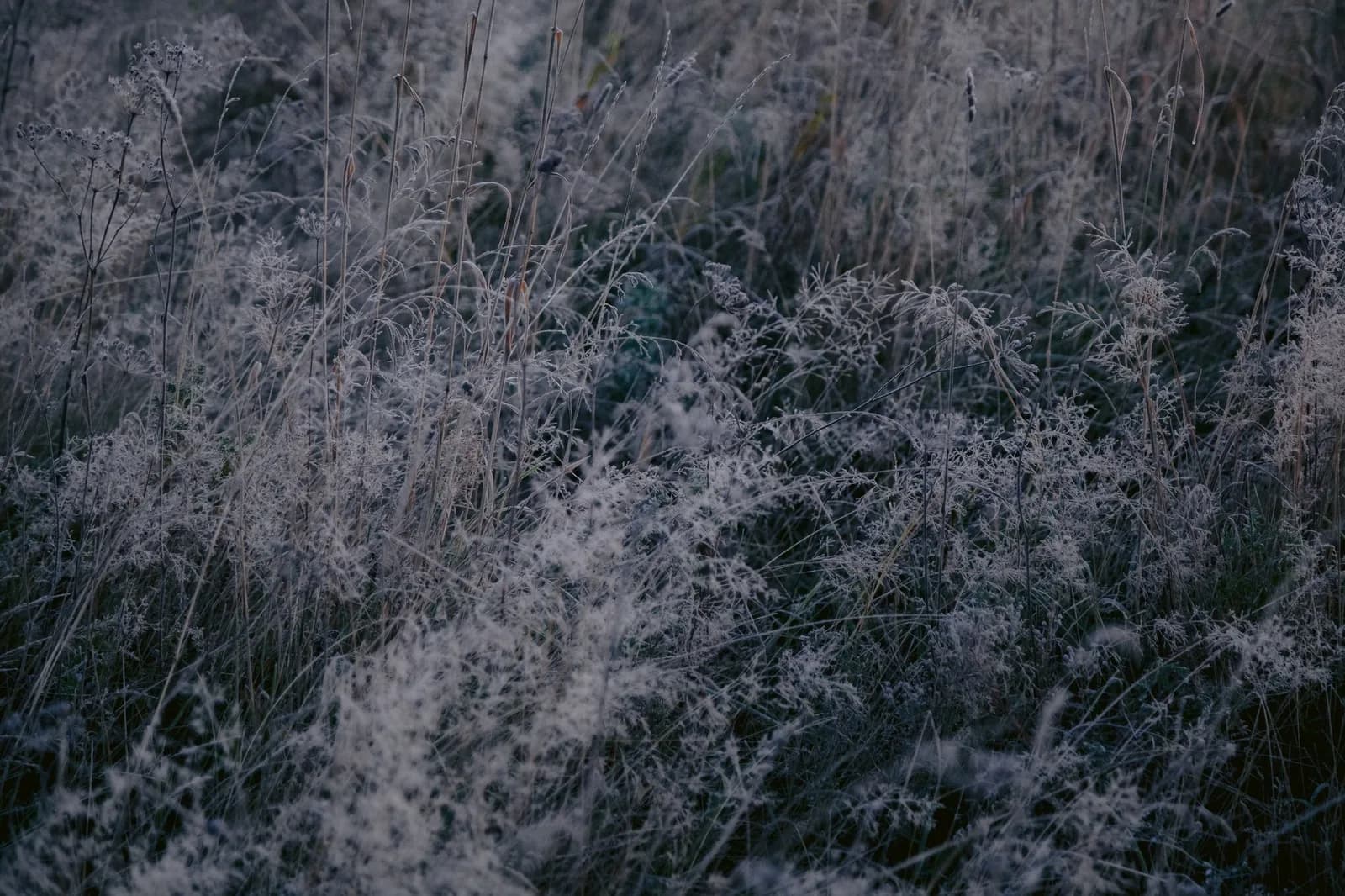 Photo: Pexels / Nikita Belokhonov