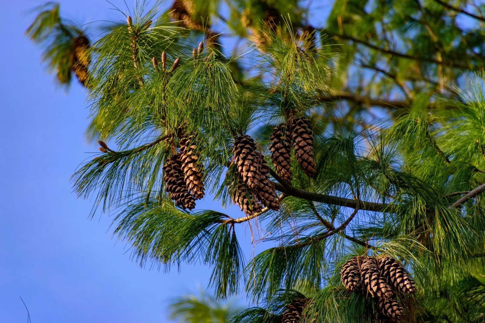 Photo: Pexels / Sergej  *****