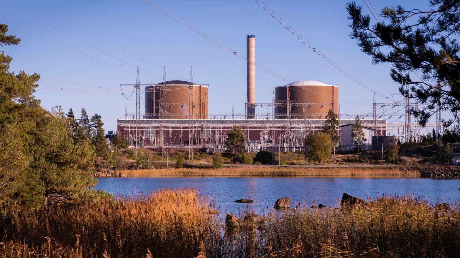 740 acres forest cleared: Finland orders Google to halt work on two AI data center sites
