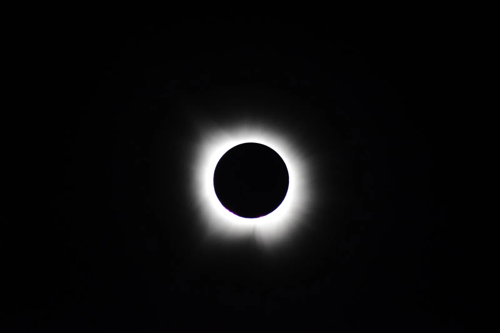 Photo: Pexels / Elizabeth Olson