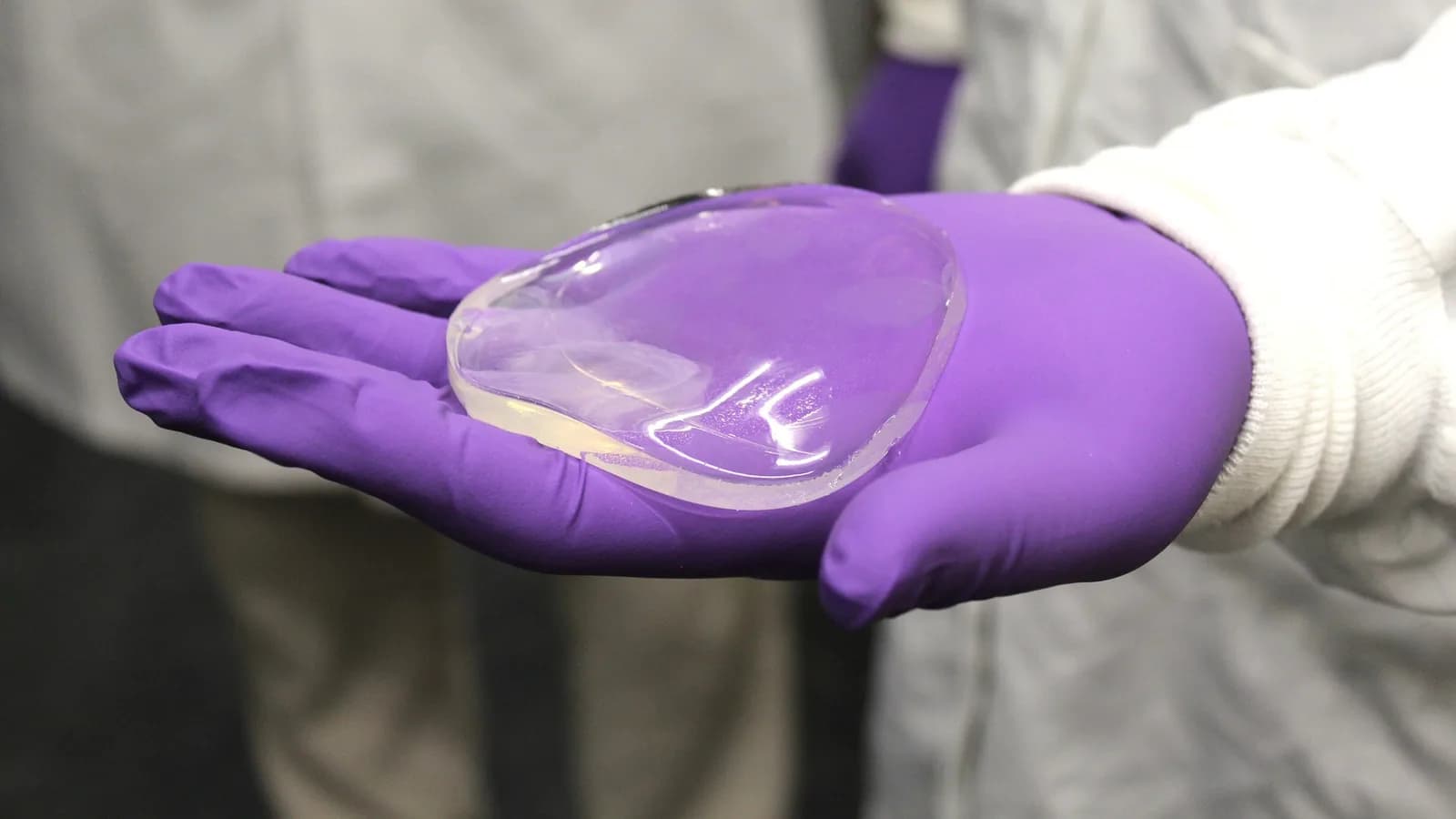 Sea cucumber-inspired gel helps rat tendons heal, could repair human soft tissues