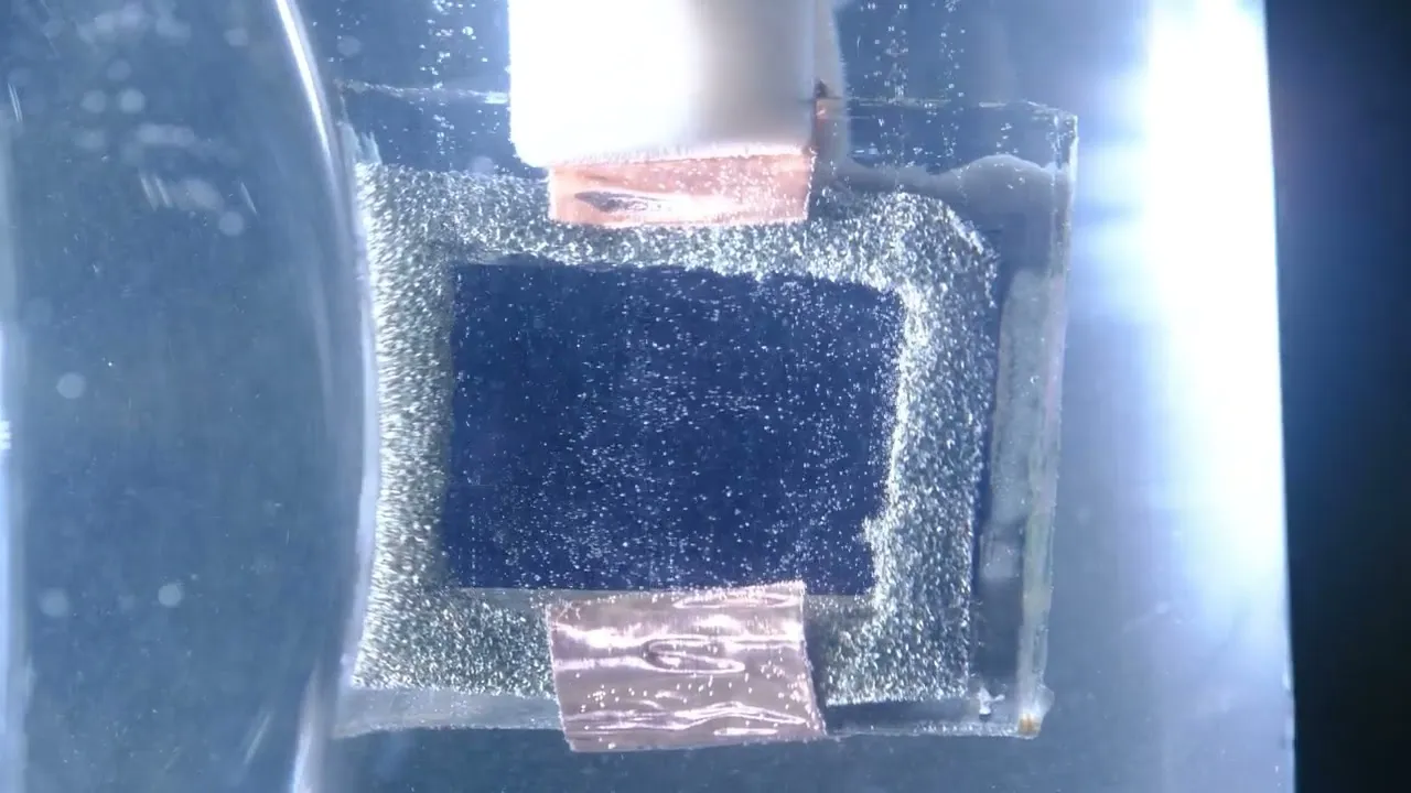 New leaf-inspired device makes hydrogen from seawater, cleans toxic waste too