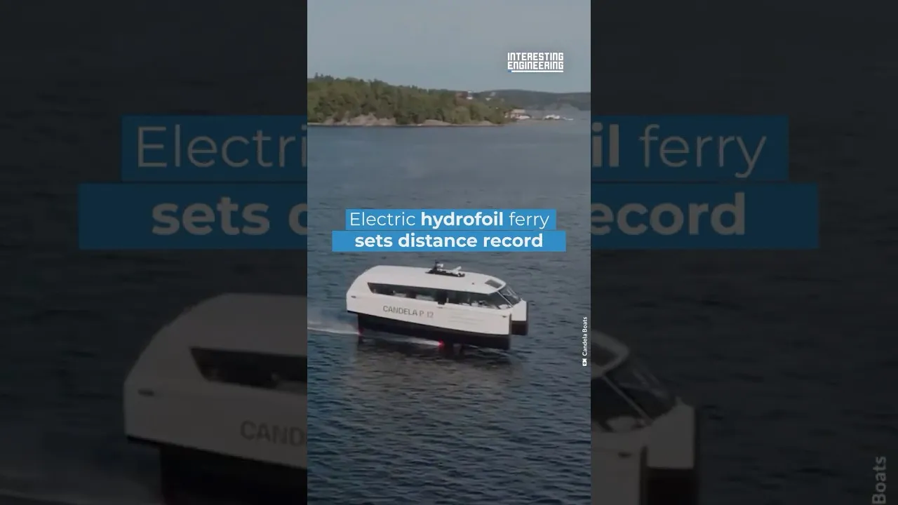 Bio-inspired airborne robot makes soft water landing, converts to autonomous sailboat