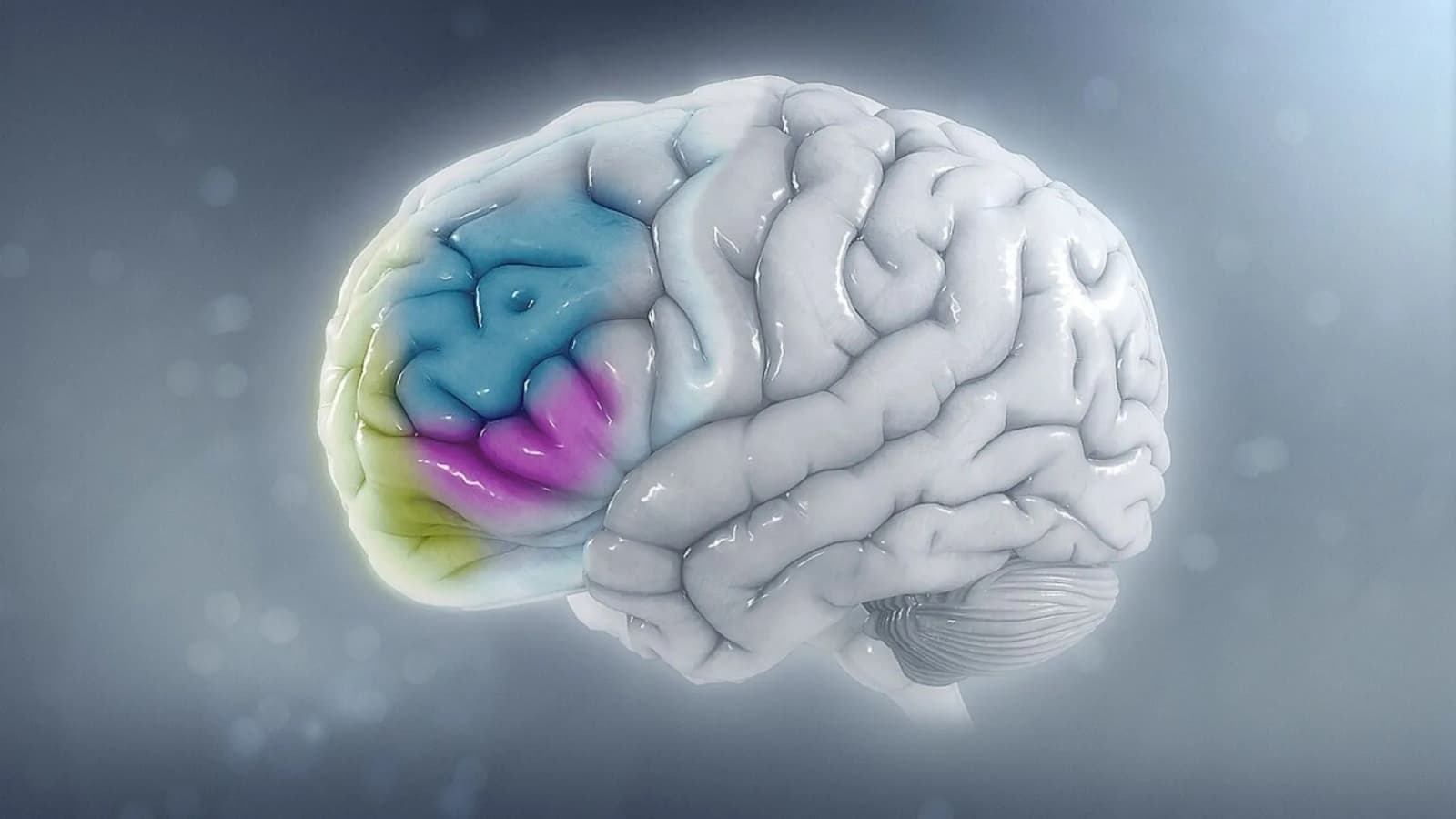 Your brain has 86 billion neurons: Here are 10 facts worth knowing