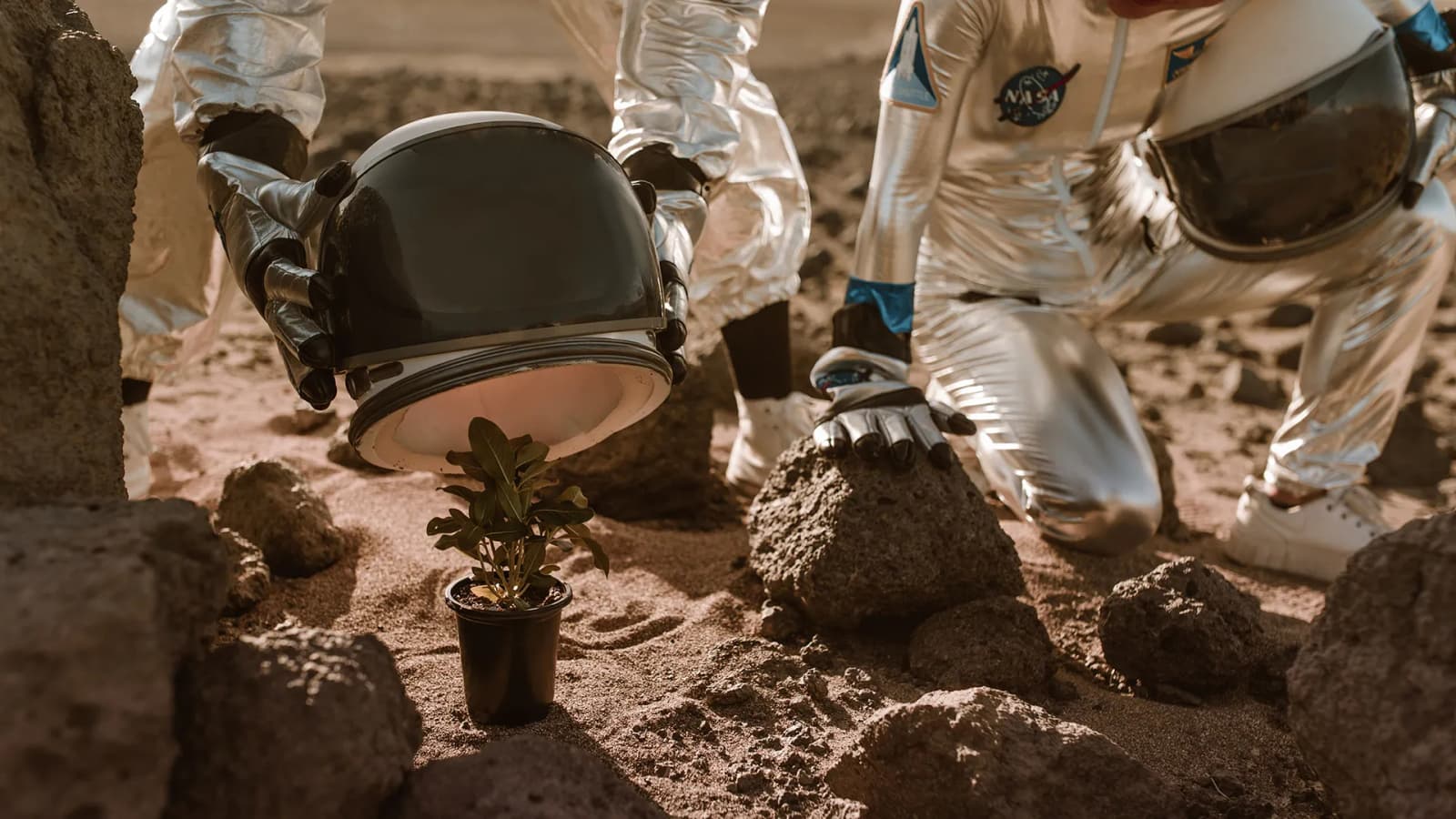 Scientists map 2,000 Martian soil types to find best ground for future crops