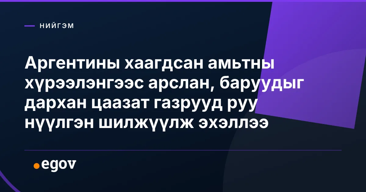 Аргентины хаагдсан амьтны хүрээлэнгээс арслан, баруудыг дархан цаазат газрууд руу нүүлгэн шилжүүлж эхэллээ