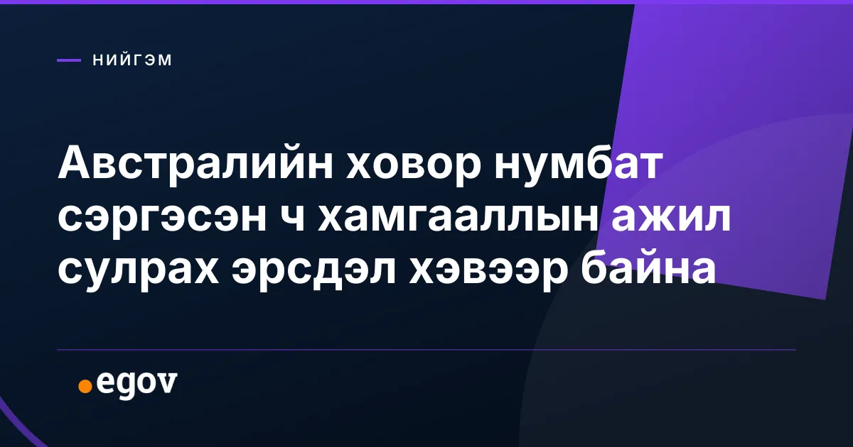 Австралийн ховор нумбат сэргэсэн ч хамгааллын ажил сулрах эрсдэл хэвээр байна