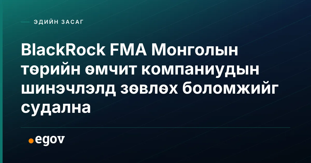BlackRock FMA Монголын төрийн өмчит компаниудын шинэчлэлд зөвлөх боломжийг судална