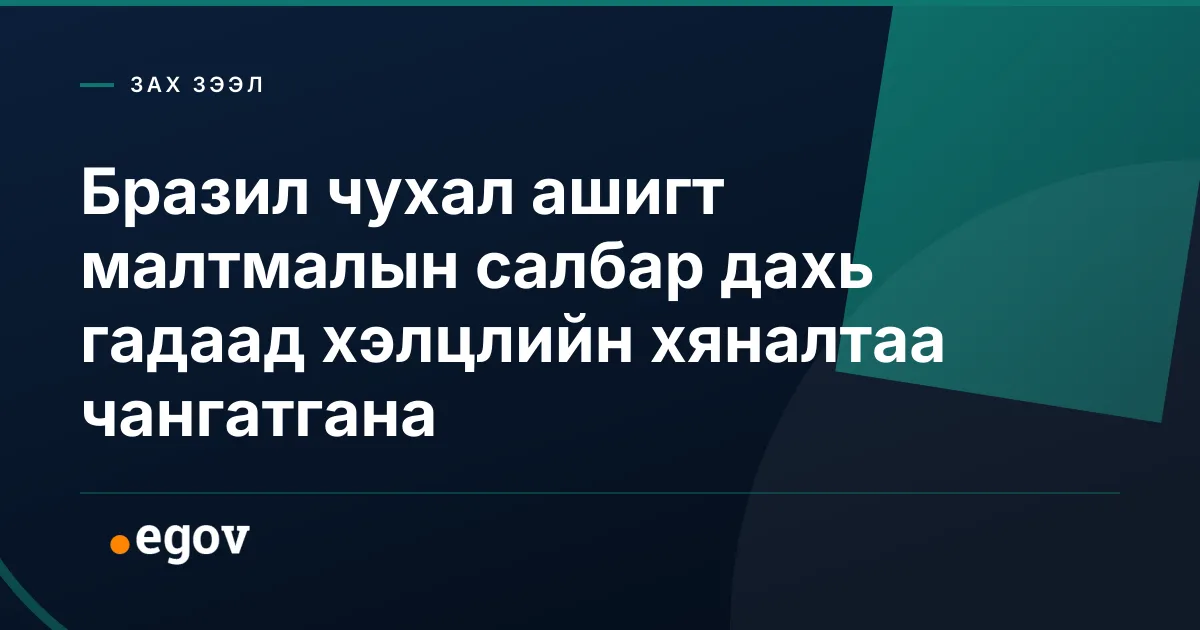 Бразил чухал ашигт малтмалын салбар дахь гадаад хэлцлийн хяналтаа чангатгана