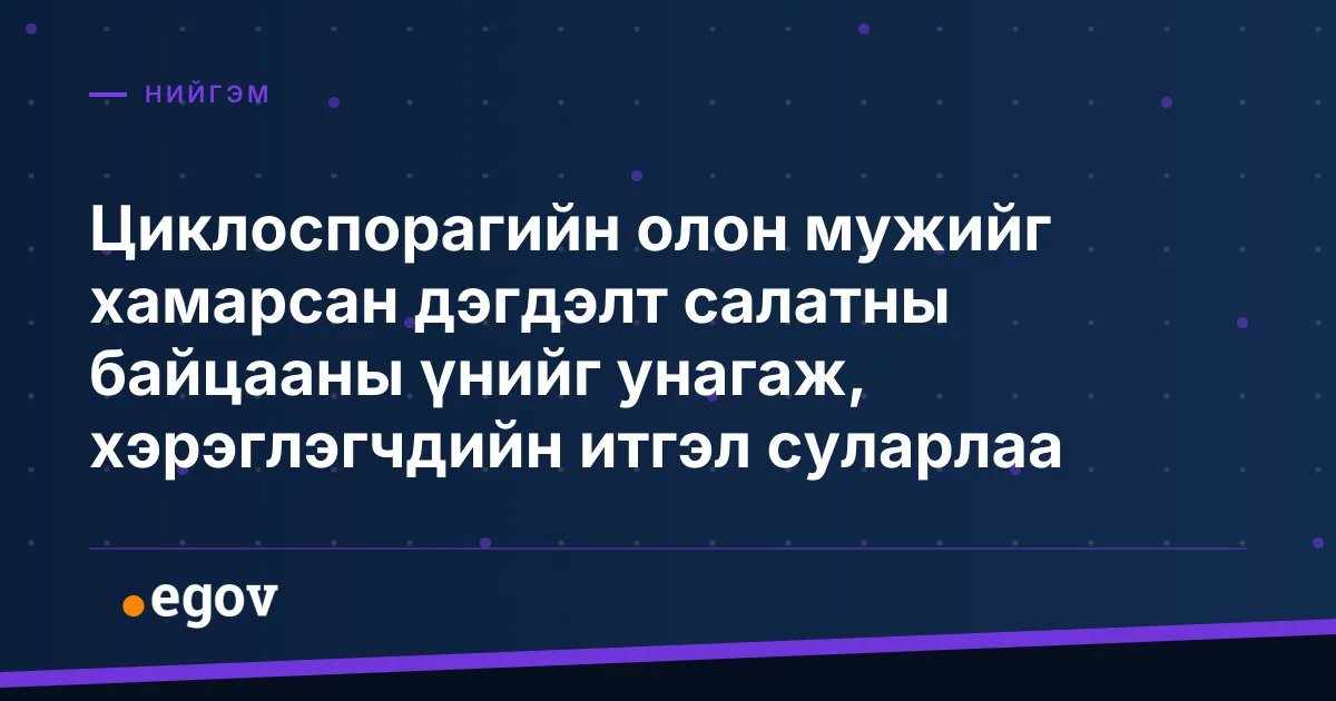 Циклоспорагийн олон мужийг хамарсан дэгдэлт салатны байцааны үнийг унагаж, хэрэглэгчдийн итгэл суларлаа