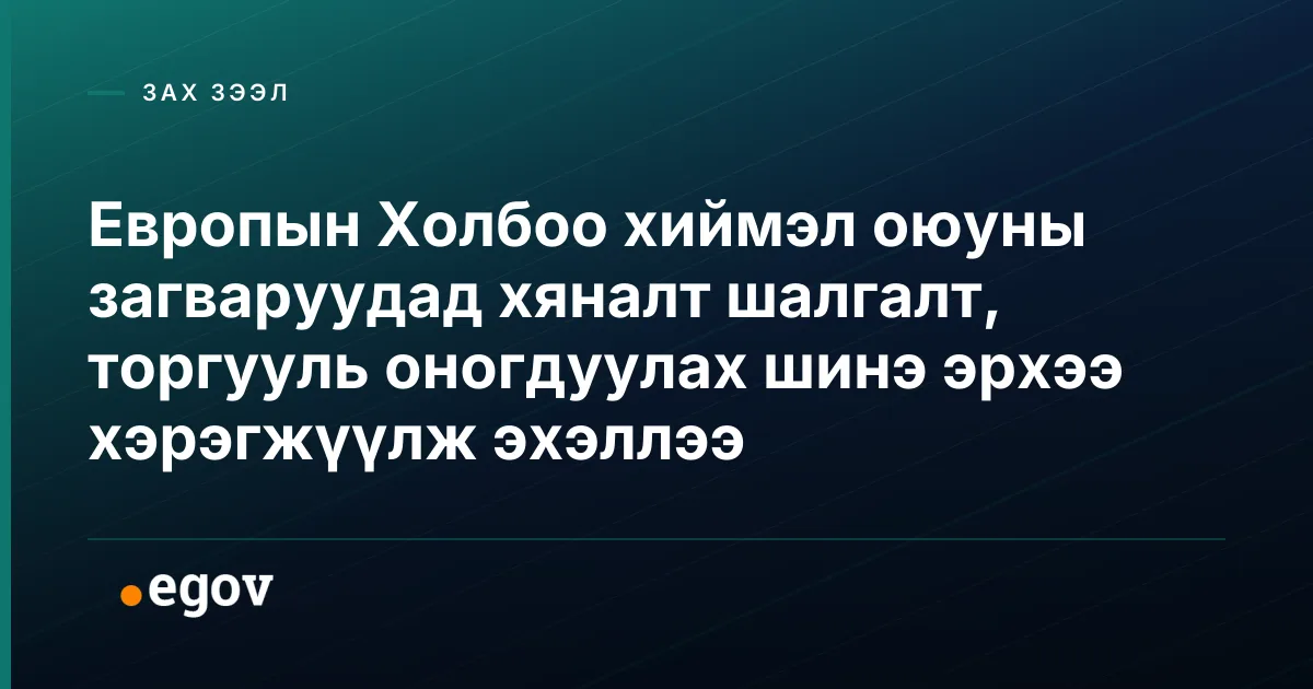 Европын Холбоо хиймэл оюуны загваруудад хяналт шалгалт, торгууль оногдуулах шинэ эрхээ хэрэгжүүлж эхэллээ