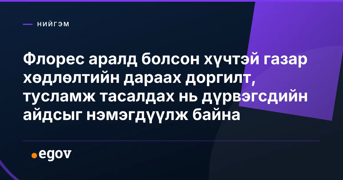 Флорес аралд болсон хүчтэй газар хөдлөлтийн дараах доргилт, тусламж тасалдах нь дүрвэгсдийн айдсыг нэмэгдүүлж байна