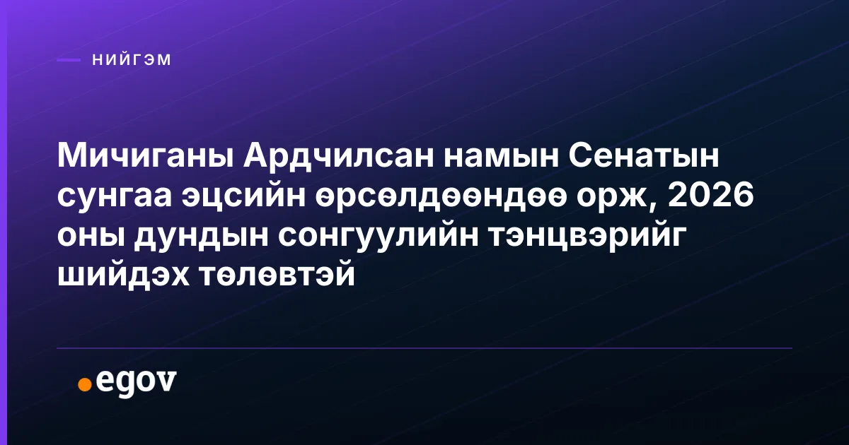 Мичиганы Ардчилсан намын Сенатын сунгаа эцсийн өрсөлдөөндөө орж, 2026 оны дундын сонгуулийн тэнцвэрийг шийдэх төлөвтэй