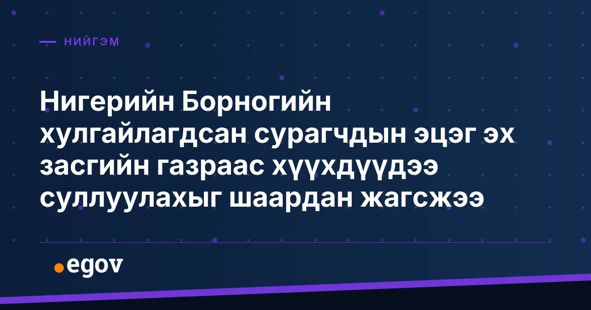 Нигерийн Борногийн хулгайлагдсан сурагчдын эцэг эх засгийн газраас хүүхдүүдээ суллуулахыг шаардан жагсжээ