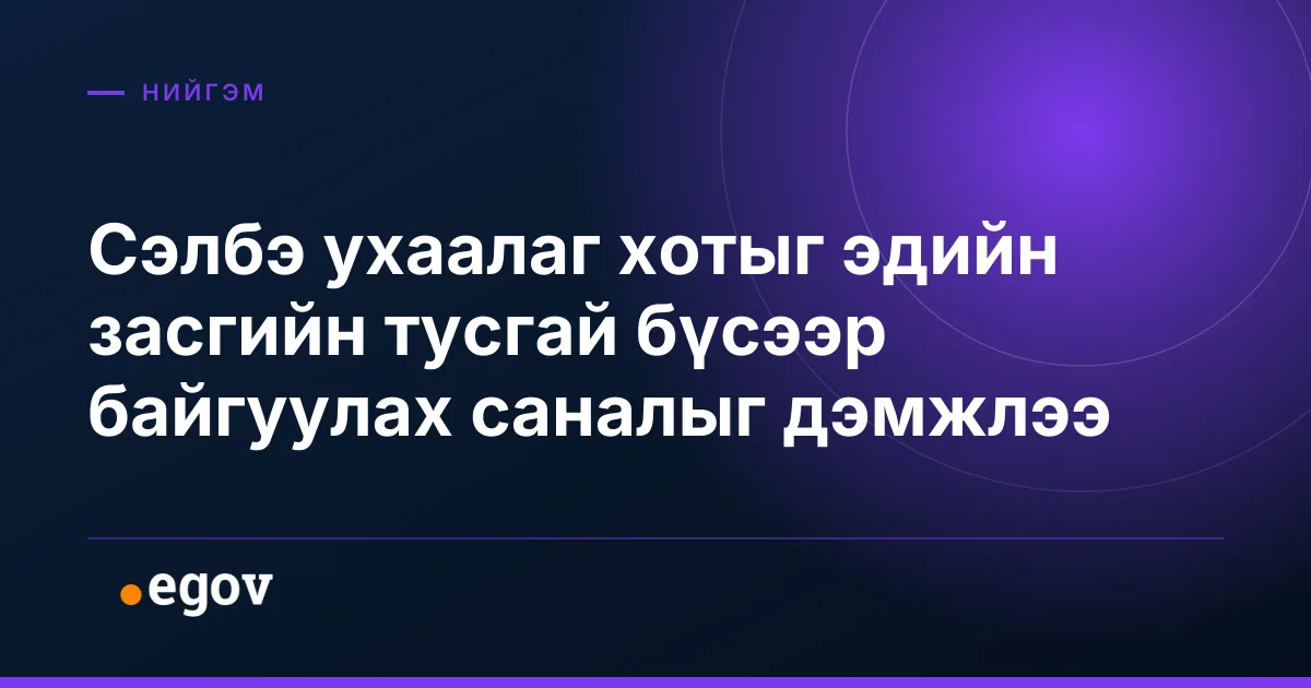 Сэлбэ ухаалаг хотыг эдийн засгийн тусгай бүсээр байгуулах саналыг дэмжлээ