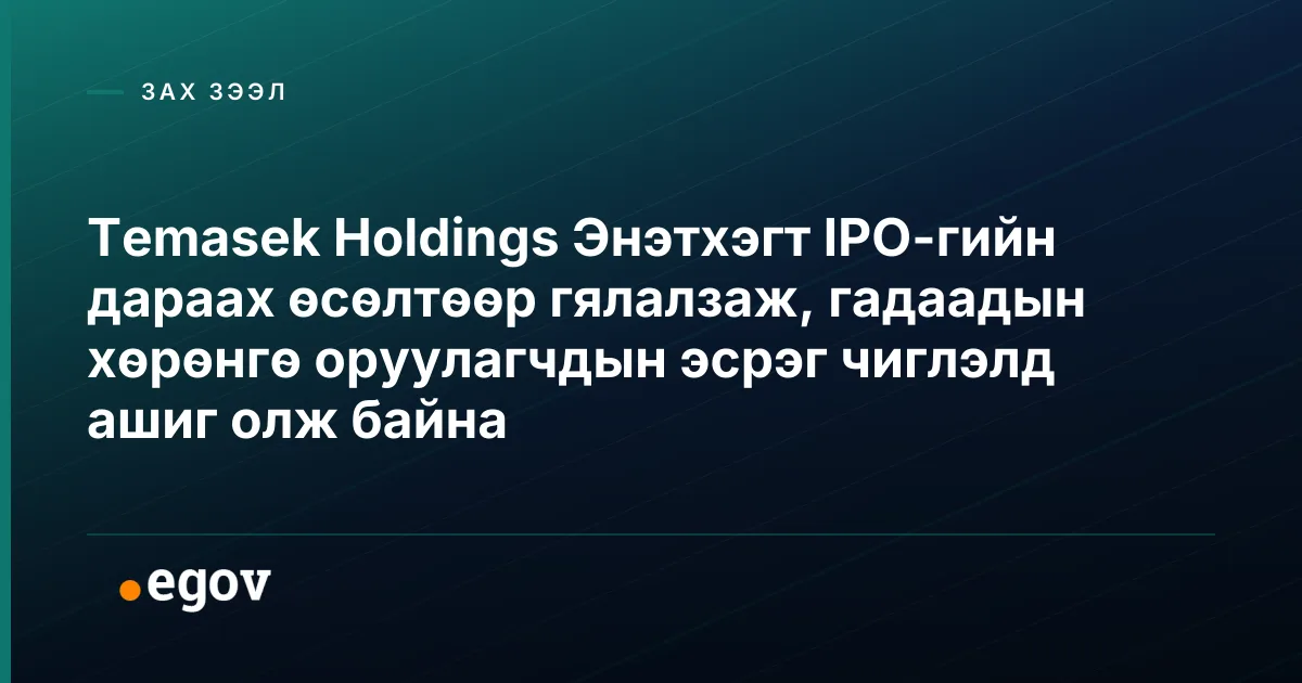 Temasek Holdings Энэтхэгт IPO-гийн дараах өсөлтөөр гялалзаж, гадаадын хөрөнгө оруулагчдын эсрэг чиглэлд ашиг олж байна