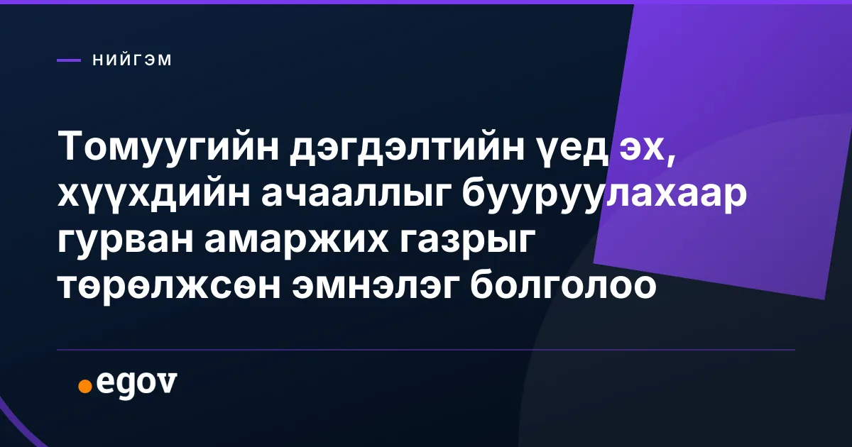 Томуугийн дэгдэлтийн үед эх, хүүхдийн ачааллыг бууруулахаар гурван амаржих газрыг төрөлжсөн эмнэлэг болголоо