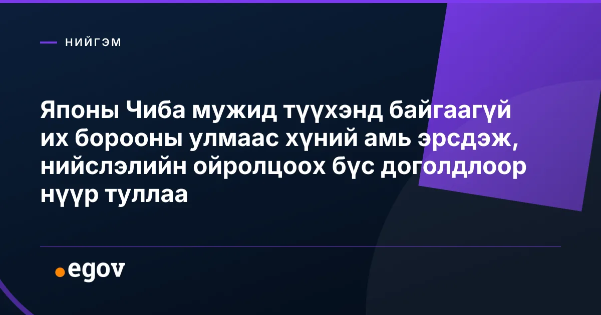 Японы Чиба мужид түүхэнд байгаагүй их борооны улмаас хүний амь эрсдэж, нийслэлийн ойролцоох бүс доголдлоор нүүр туллаа