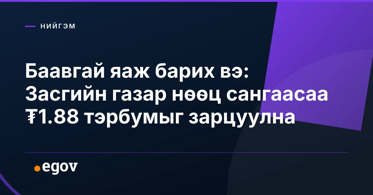 Баавгай яаж барих вэ: Засгийн газар нөөц сангаасаа ₮1.88 тэрбумыг зарцуулна