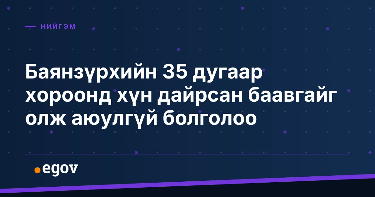 Баянзүрхийн 35 дугаар хороонд хүн дайрсан баавгайг олж аюулгүй болголоо