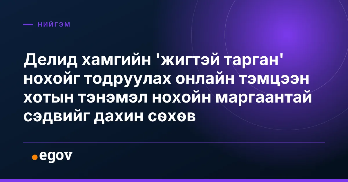 Делид хамгийн 'жигтэй тарган' нохойг тодруулах онлайн тэмцээн хотын тэнэмэл нохойн маргаантай сэдвийг дахин сөхөв