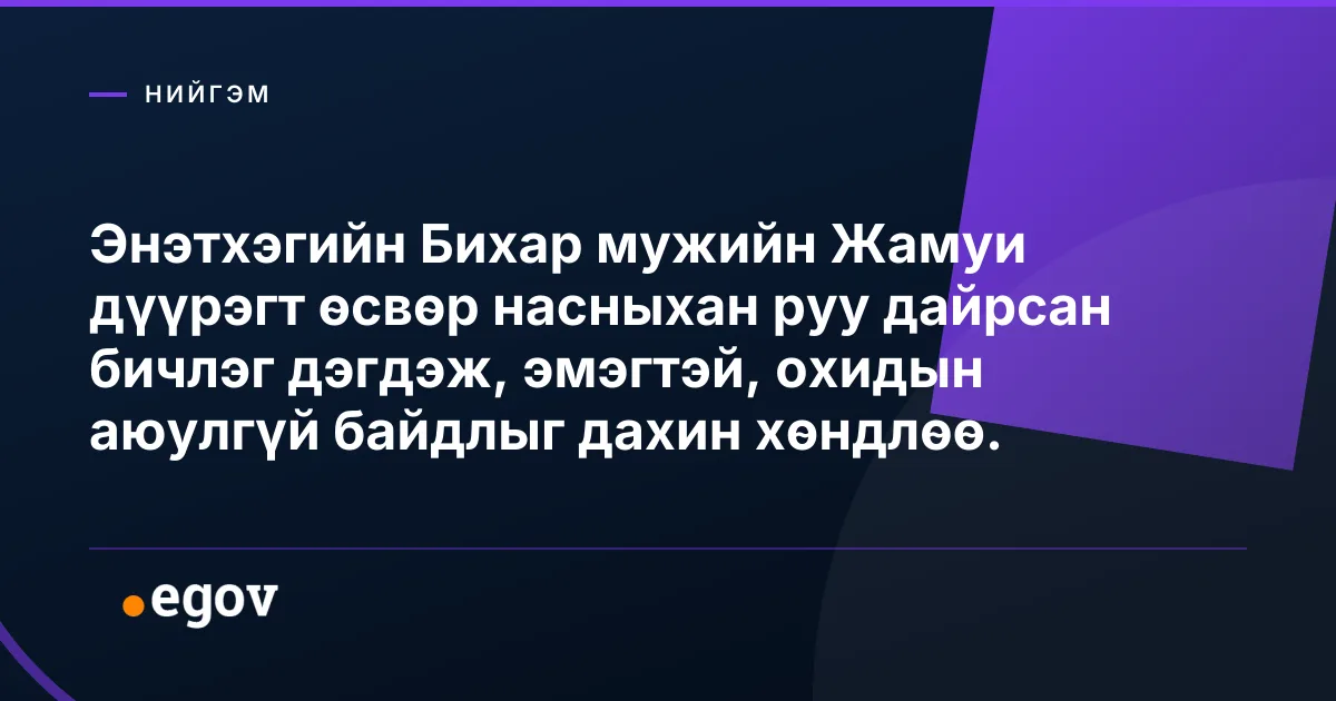 Энэтхэгийн Бихар мужийн Жамуи дүүрэгт өсвөр насныхан руу дайрсан бичлэг дэгдэж, эмэгтэй, охидын аюулгүй байдлыг дахин хөндлөө.