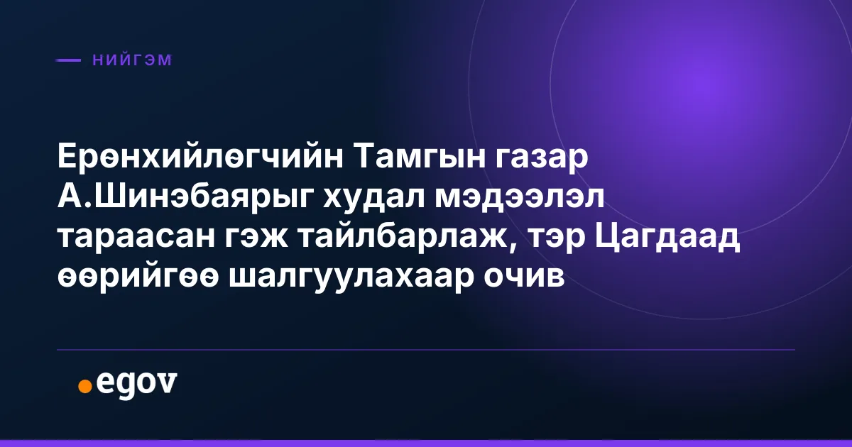 Ерөнхийлөгчийн Тамгын газар А.Шинэбаярыг худал мэдээлэл тараасан гэж тайлбарлаж, тэр Цагдаад өөрийгөө шалгуулахаар очив