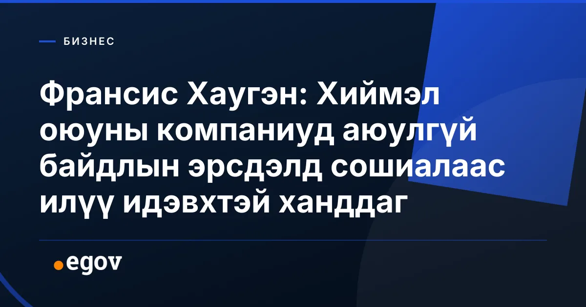 Франсис Хаугэн: Хиймэл оюуны компаниуд аюулгүй байдлын эрсдэлд сошиалаас илүү идэвхтэй ханддаг