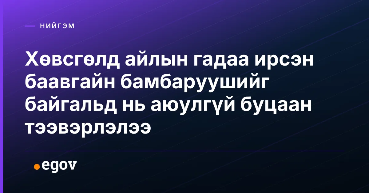 Хөвсгөлд айлын гадаа ирсэн баавгайн бамбаруушийг байгальд нь аюулгүй буцаан тээвэрлэлээ