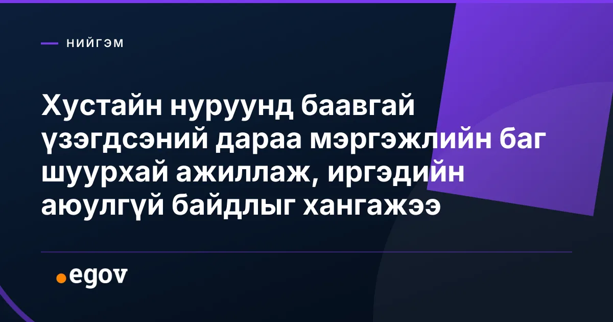 Хустайн нуруунд баавгай үзэгдсэний дараа мэргэжлийн баг шуурхай ажиллаж, иргэдийн аюулгүй байдлыг хангажээ