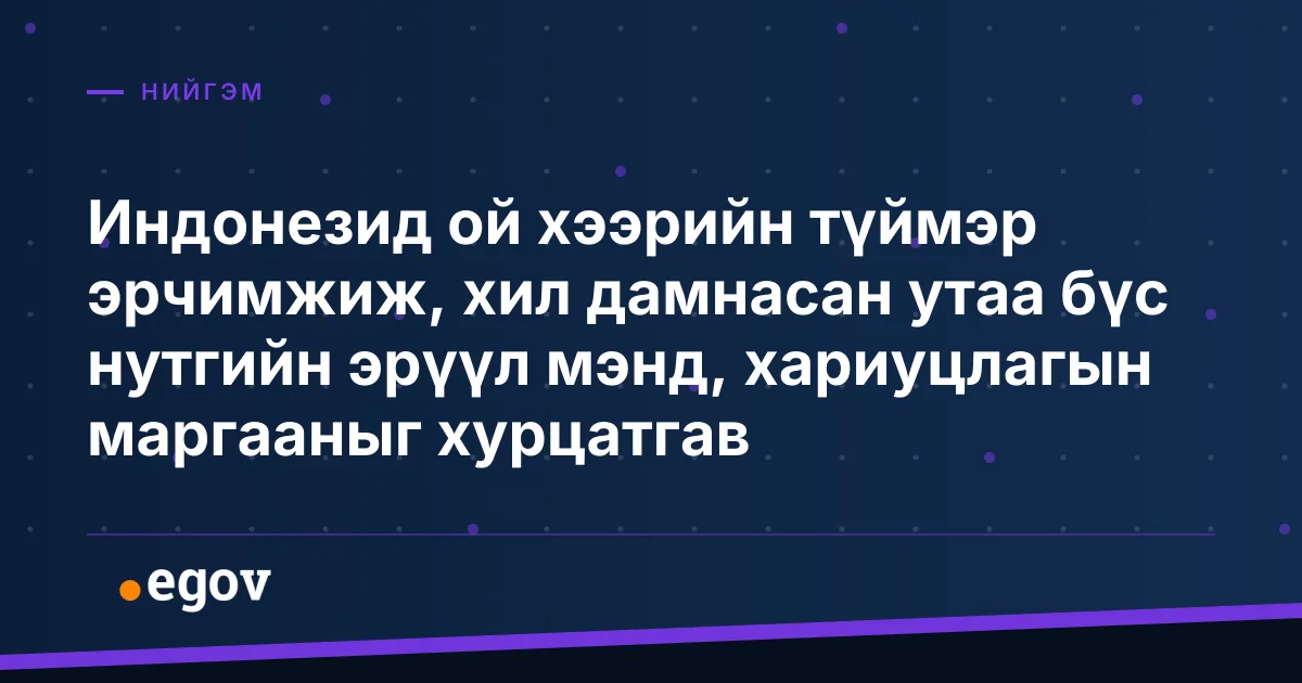 Индонезид ой хээрийн түймэр эрчимжиж, хил дамнасан утаа бүс нутгийн эрүүл мэнд, хариуцлагын маргааныг хурцатгав