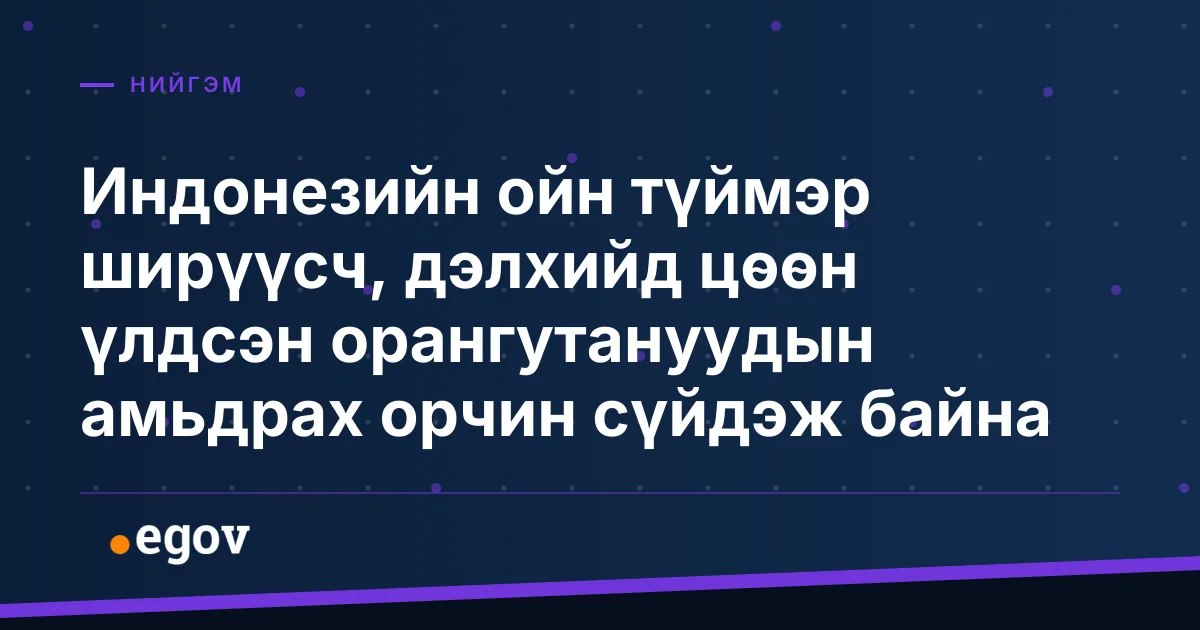 Индонезийн ойн түймэр ширүүсч, дэлхийд цөөн үлдсэн орангутануудын амьдрах орчин сүйдэж байна