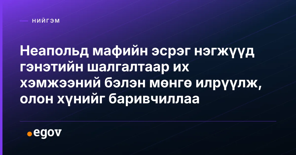 Неапольд мафийн эсрэг нэгжүүд гэнэтийн шалгалтаар их хэмжээний бэлэн мөнгө илрүүлж, олон хүнийг баривчиллаа