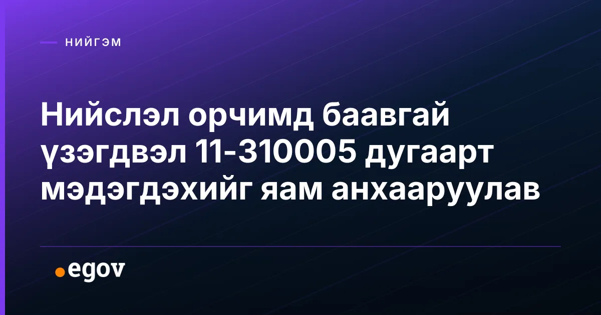 Нийслэл орчимд баавгай үзэгдвэл 11-310005 дугаарт мэдэгдэхийг яам анхааруулав