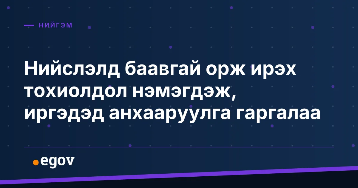 Нийслэлд баавгай орж ирэх тохиолдол нэмэгдэж, иргэдэд анхааруулга гаргалаа