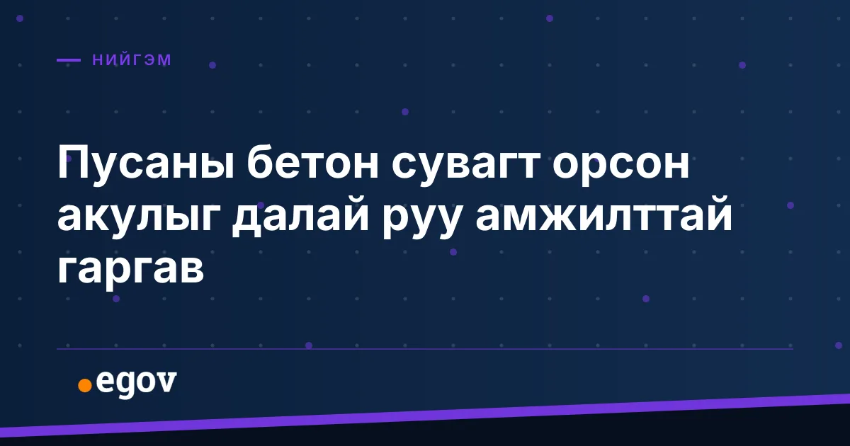 Пусаны бетон сувагт орсон акулыг далай руу амжилттай гаргав