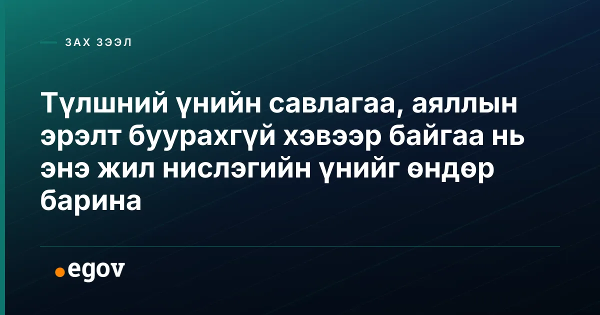 Түлшний үнийн савлагаа, аяллын эрэлт буурахгүй хэвээр байгаа нь энэ жил нислэгийн үнийг өндөр барина