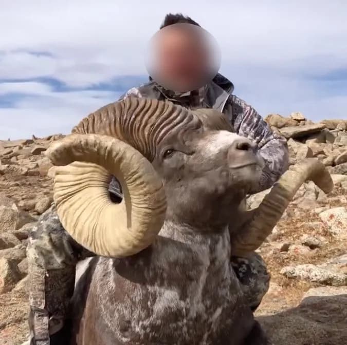Алтайн угалз — Эх сурвалж: ikon.mn (https://ikon.mn/n/368e)
