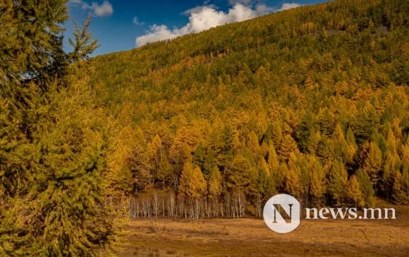 Аравдугаар сард ихэнх нутгаар дулаарах төлөвтэй ч нойтон цас, салхи шу — Эх сурвалж: news.mn (https://news.mn/r/2890096/)